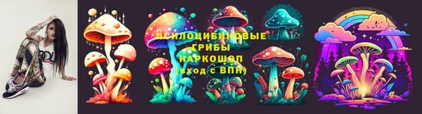 кокс Ельня